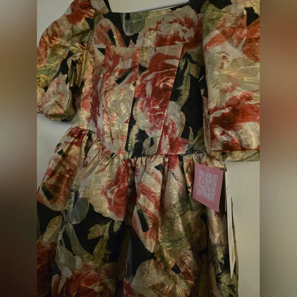 Rare Editions‎ Big Girls Floral Organza Dress Size 14